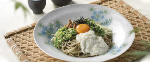 冷し麺　田中陶器